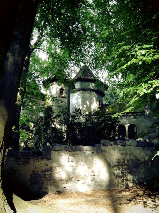 6467_590832567616976_2057236898_n