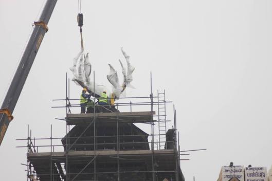 Antlers-Photo by vijfzintuigen.nl